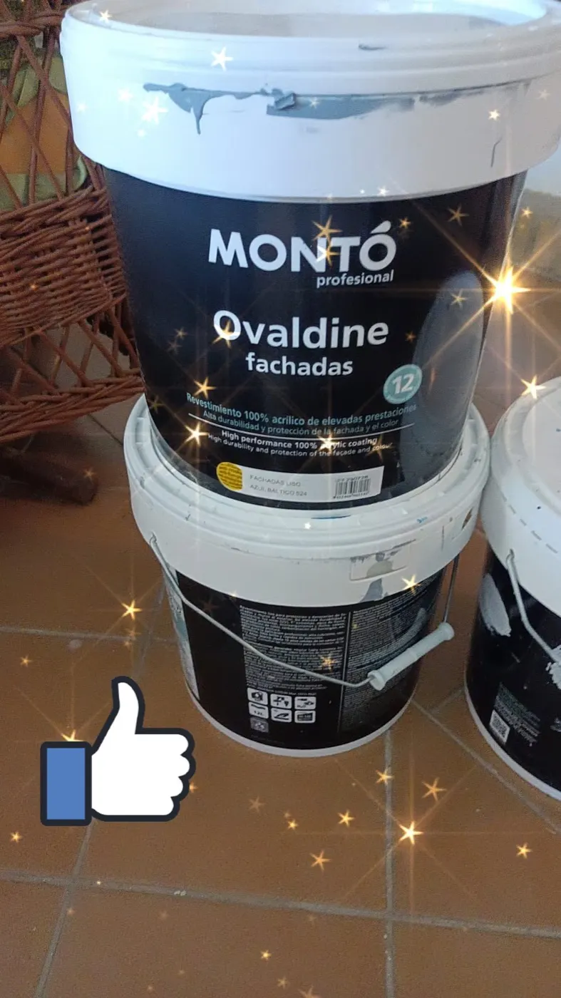 Pintura Montó Profesional para fachadas